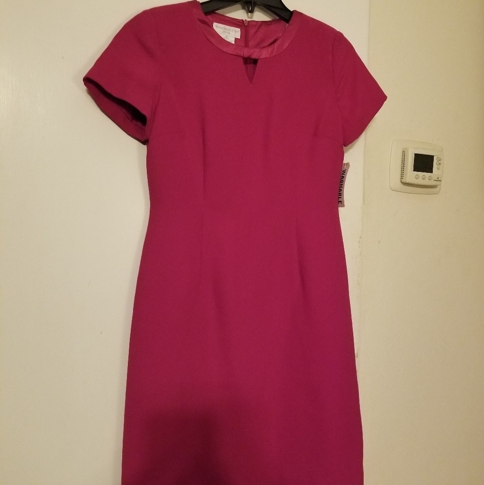 NWT Worthington Pink Dress Size 4P
